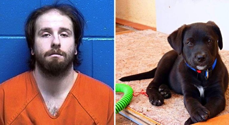 Man Who Was Enraged By His Ex-puppy Wife’s Is Now Facing Multiple Charges And Jail Time