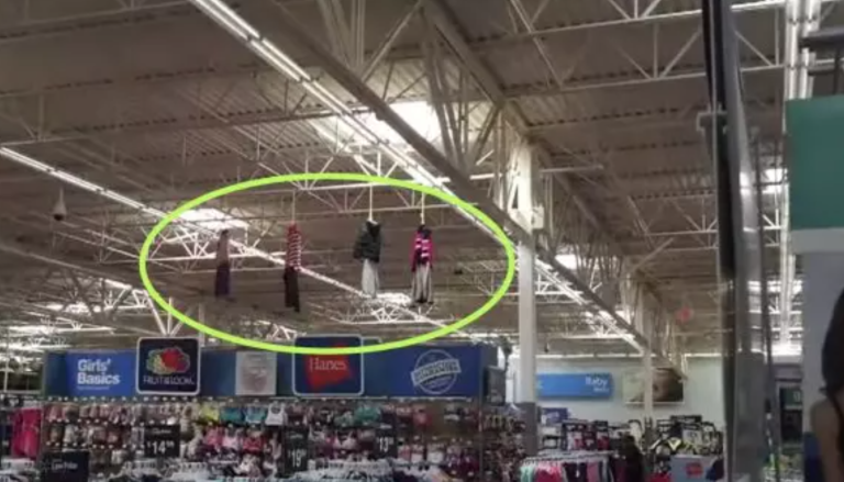 Walmart Is In Serious Trouble After A Picture Of Their Most Recent Display Went Viral!