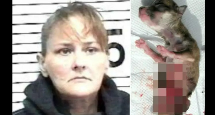 Woman Faked Her Pregnancy For 7 Months And Murdered Her Boyfriend’s Dog To Keep Him