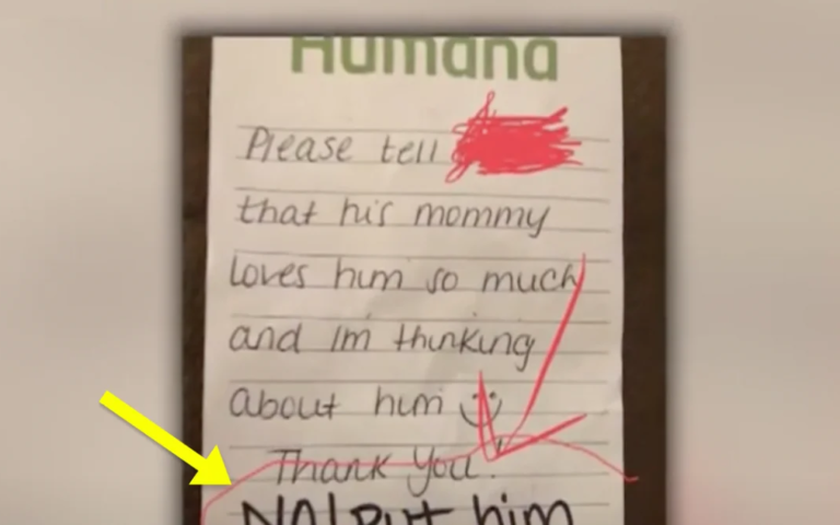 Mother sends son to daycare with note in lunchbox, teacher responds with ‘highly disrespectful’ message!