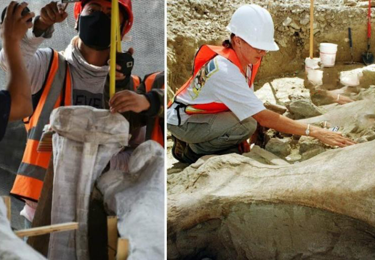 Workers stopped in their tracks ‘when they made this spine-chilling discovery in the dirt’!