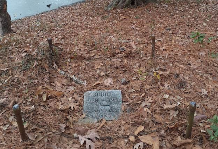 Tears filled passerby’s eyes ‘when he saw what was written on tiny grave’ in the middle of the woods!