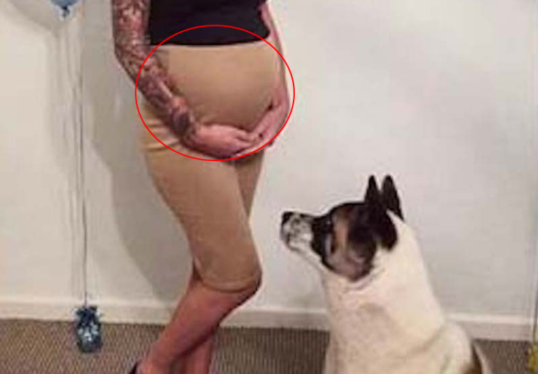 Dog won’t stop barking at pregnant owner’s belly, and ‘then she immediately called her doctor’!