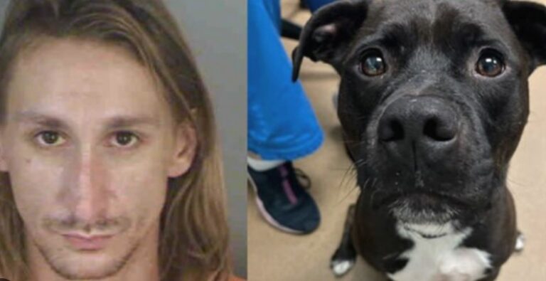 Florida Man Caught On Video Beating His Dog — Learns His Fate